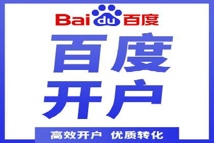 解析某某SEM服务公司的广告投放策略与效果评估